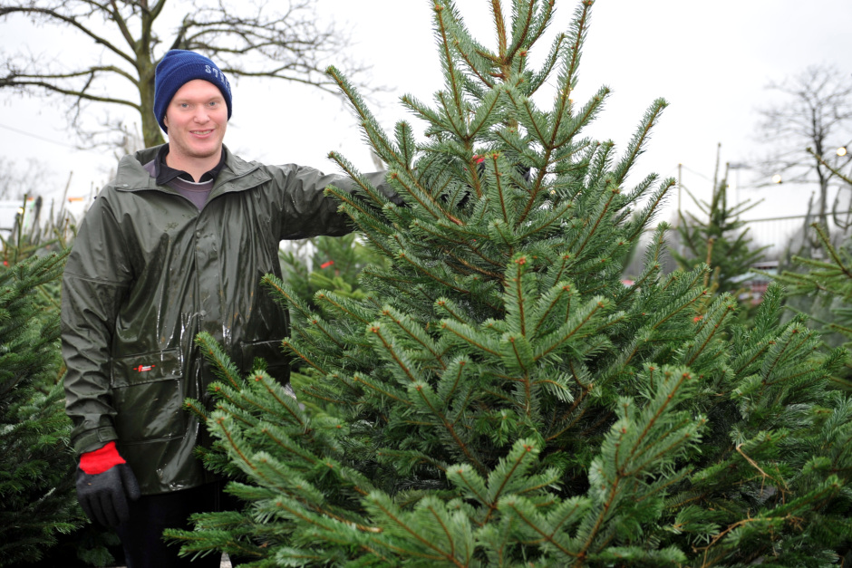 Weihnachtsbaum-Verkauf in Wiesbaden startet: Hier finden Sie Nordmanntannen und Blaufichten an zentralen Standorten