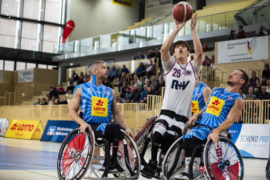 Kei Akita kommt zum Wurf