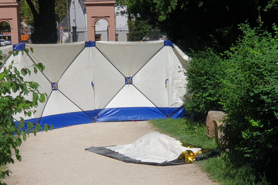 In Wiesbaden begann der Prozess wegen Mordes an 86 Jahre altem Spaziergänger.