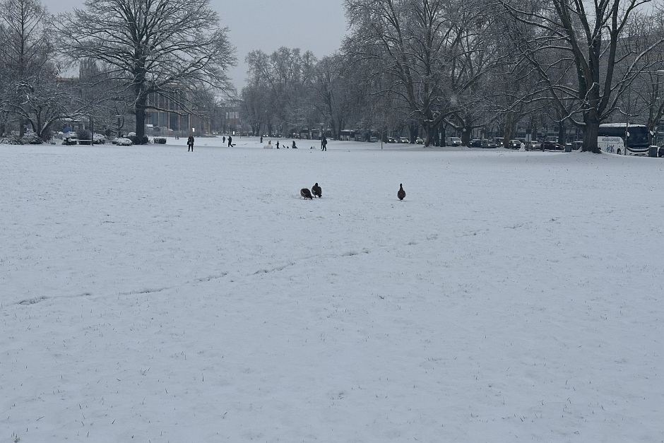 Schneefall am Dienstag, 3. Februar in Wiesbaden. Die Stadt ist verschneit.