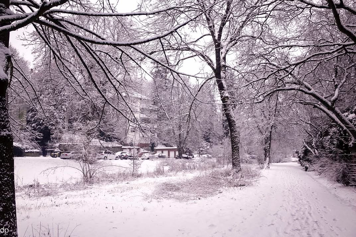 Wetter: Schnee-Chaos in Wiesbaden am Dienstag. 3. Februar 2026.