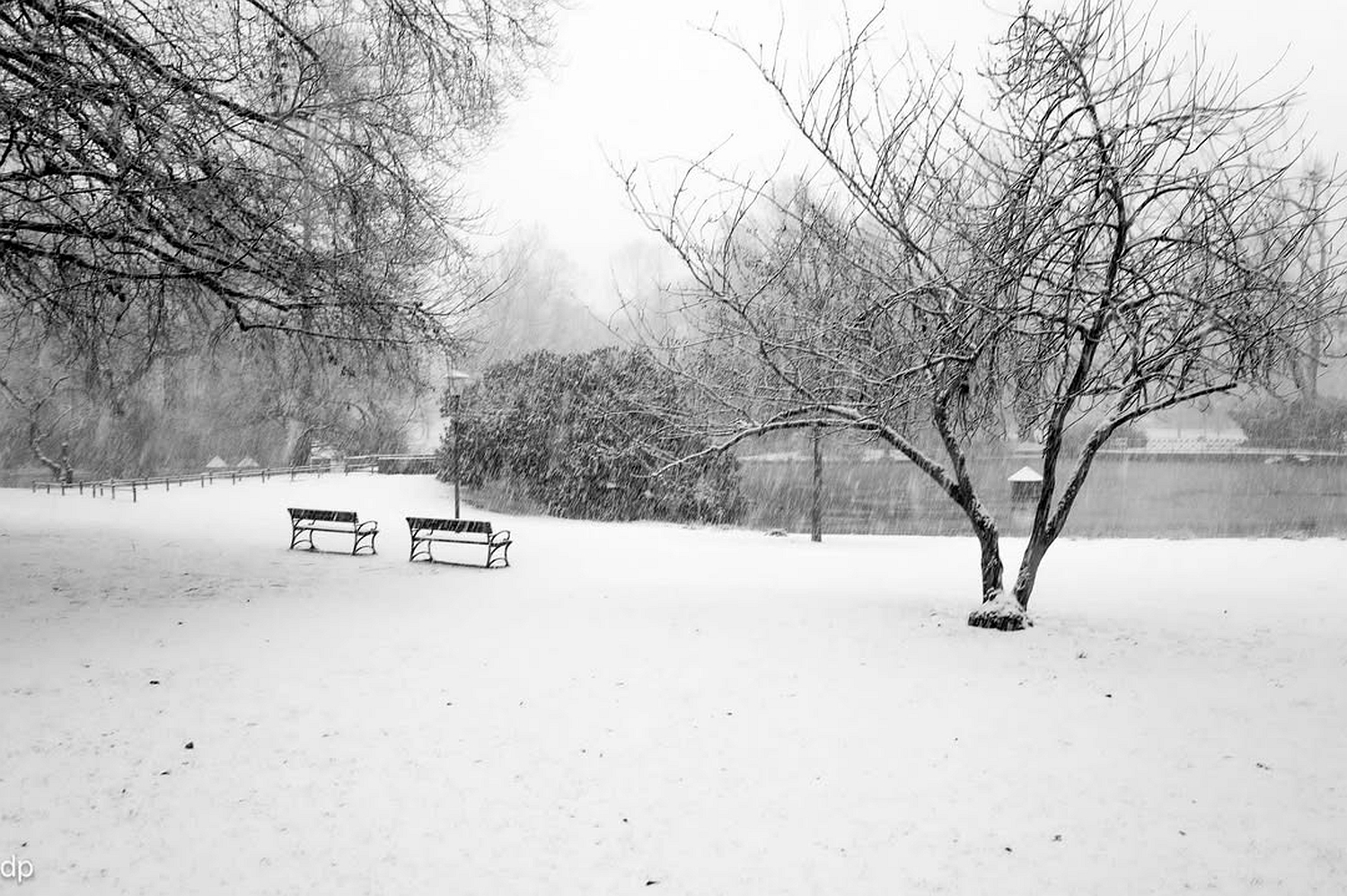 Wetter: Schnee-Chaos in Wiesbaden am Dienstag. 3. Februar 2026.