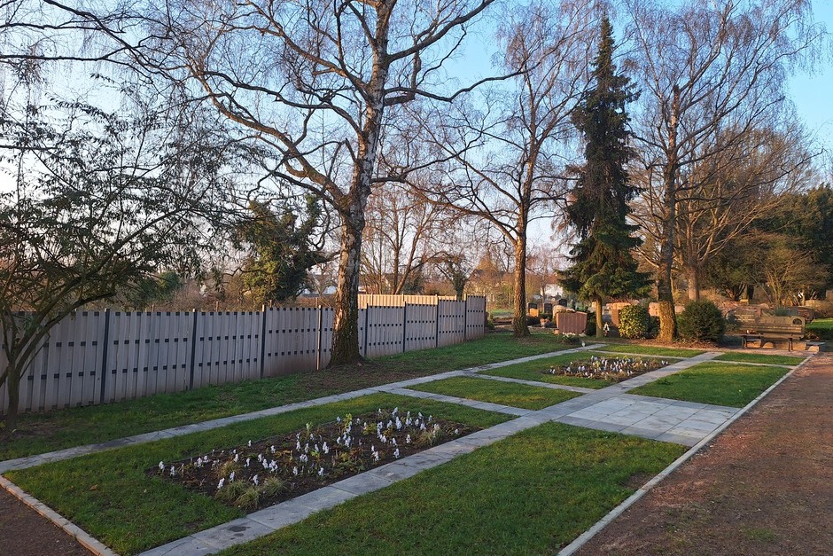 In Wiesbaden gibt es neue Baumgräber auf dem Nordfriedhof und in Igstadt