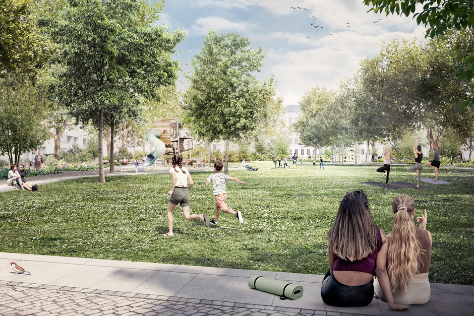 Im künftigen Elsässer Park im Wiesbadener Westend werden derzeit sieben große Platanen gepflanzt.