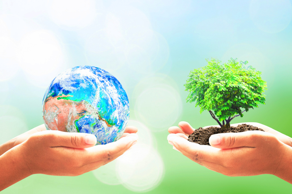 Die Stadt Wiesbaden vergibt Zuschüsse für Natur- und Umweltschutzprojekte