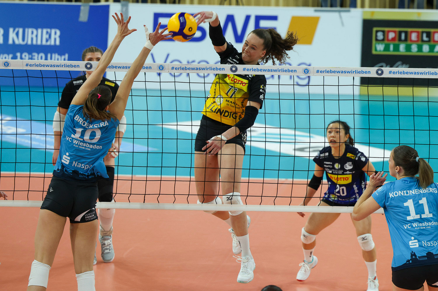 Volleyball: Playoff Rückspiel VC Wiesbaden gegen VfB Suhl Lotto Thüringen am Mittwoch, 25. März 2026