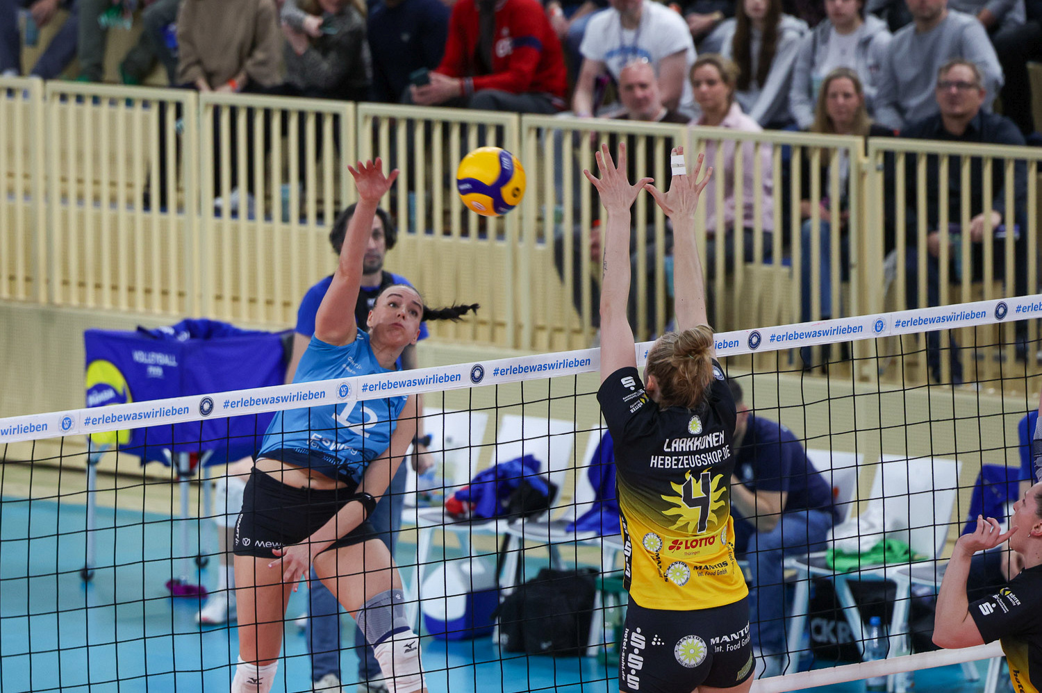 Volleyball: Playoff Rückspiel VC Wiesbaden gegen VfB Suhl Lotto Thüringen am Mittwoch, 25. März 2026