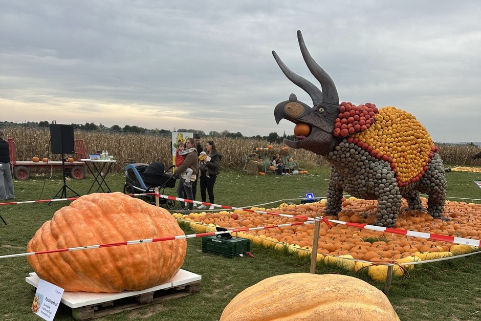 Die Riesenkürbiswiegemeisterschaft 2026 auf Pauls Bauernhof wird zur großen Mitmach-Kampagne für Hessen