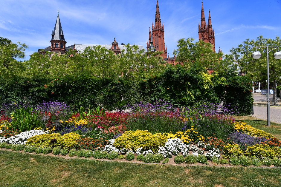 m Umweltladen Wiesbaden öffnet am 15. April die Ausstellung „Stadt voller Leben – Biologische Vielfalt zwischen Wald, Wiese und Balkon“. Besucherinnen und Besucher erleben eine Entdeckungsreise mit Zwergfledermaus, Biber, Rebhuhn und Wildbiene – und erfahren, wie Artenvielfalt direkt vor der Haustür geschützt werden kann.