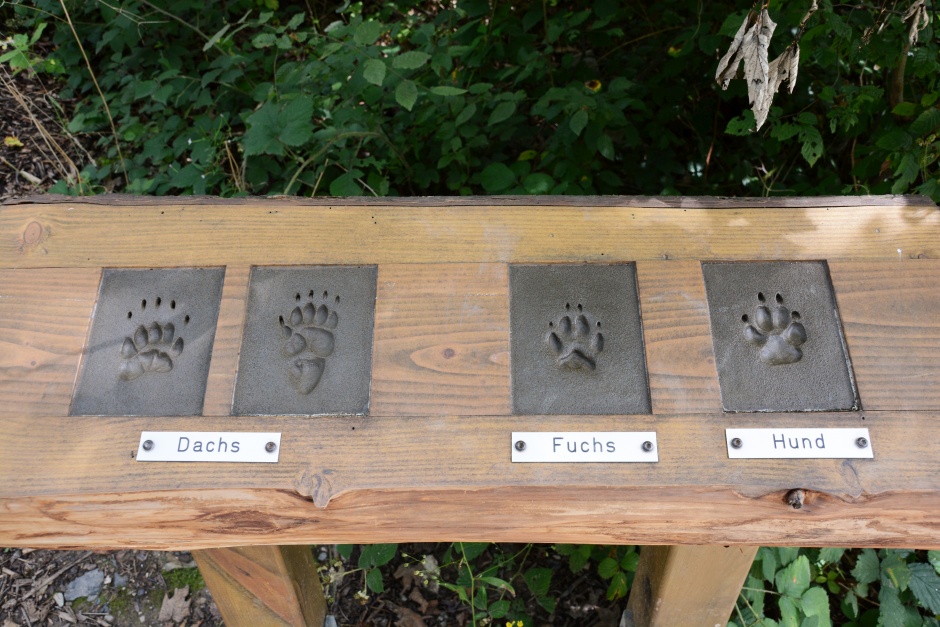 Ob lautloser Jäger oder schwerfälliger Kletterkünstler: Die Fortbewegung der Tiere ist so vielfältig wie die Natur selbst. Am Samstag, 25. April, lädt der Tier- und Pflanzenpark Fasanerie Wiesbaden zu einer spannenden Entdeckungstour ein. Familien können dabei die „Füße“ der Parkbewohner genau unter die Lupe nehmen und faszinierende Unterschiede entdecken.