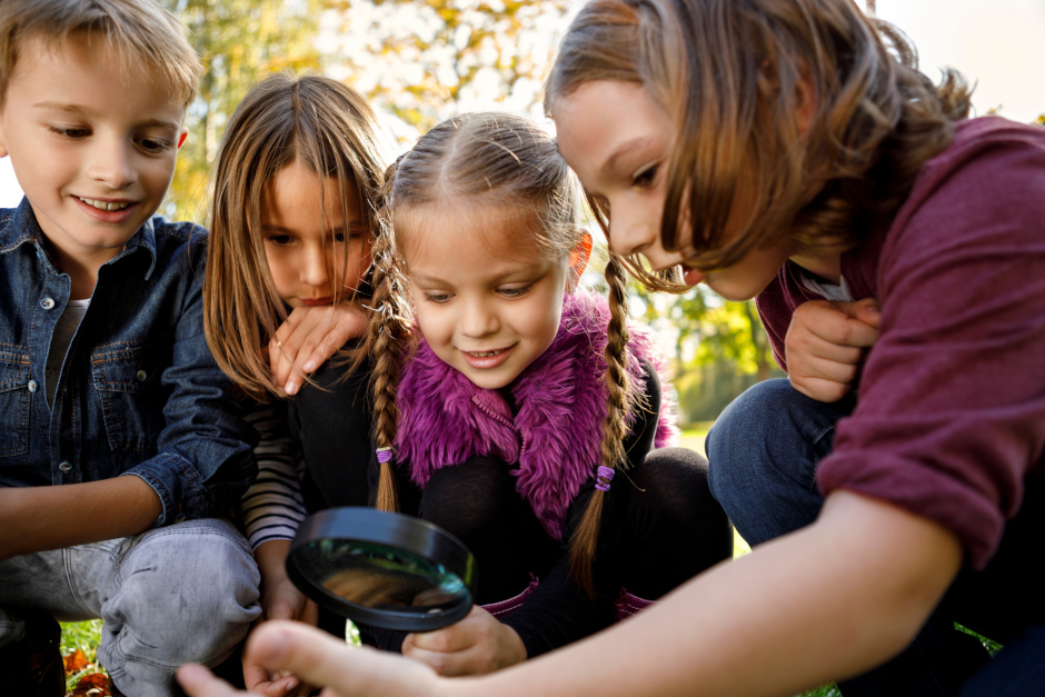 Natur erleben in Wiesbaden: Neues Programm für Grundschulkinder startet in der Fasanerie.
