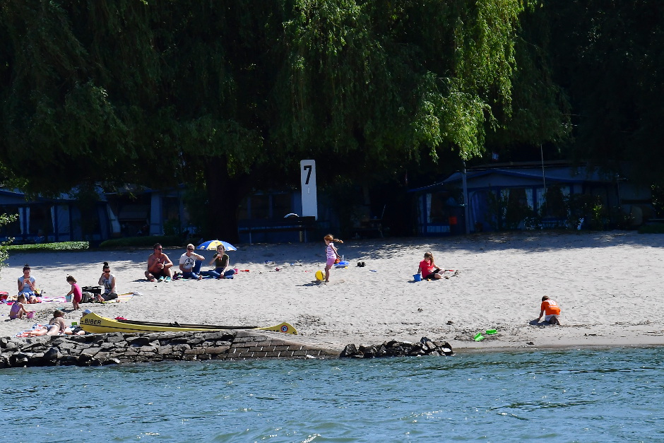 Die Rettbergsauen vor Wiesbaden mitten im Rhein öffnen am Freitag, 24. April, wieder für Besucherinnen und Besucher. Wer die beliebte Freizeit- und Naturinsel aufsucht, muss allerdings zunächst mit Einschränkungen rechnen: Die Biebricher Seite ist erst ab Samstag wieder per Fähre erreichbar.