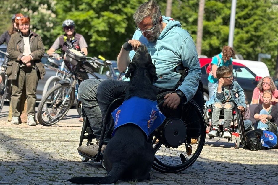 Die VITA e.V. Assistenzhunde lädt zum Charity Working Test auf das Jagdschloss Platte bei Wiesbaden ein.