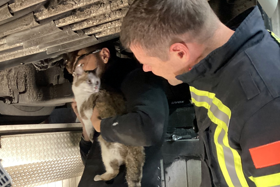 Große Erleichterung in Wiesbaden: Die Feuerwehr hat die seit Tagen vermisste Katze Mika aus einem abgestellten Linienbus der ESWE Verkehr befreit. Nach einem rund zweistündigen Einsatz konnte das Tier wohlbehalten an seinen Besitzer übergeben werden.