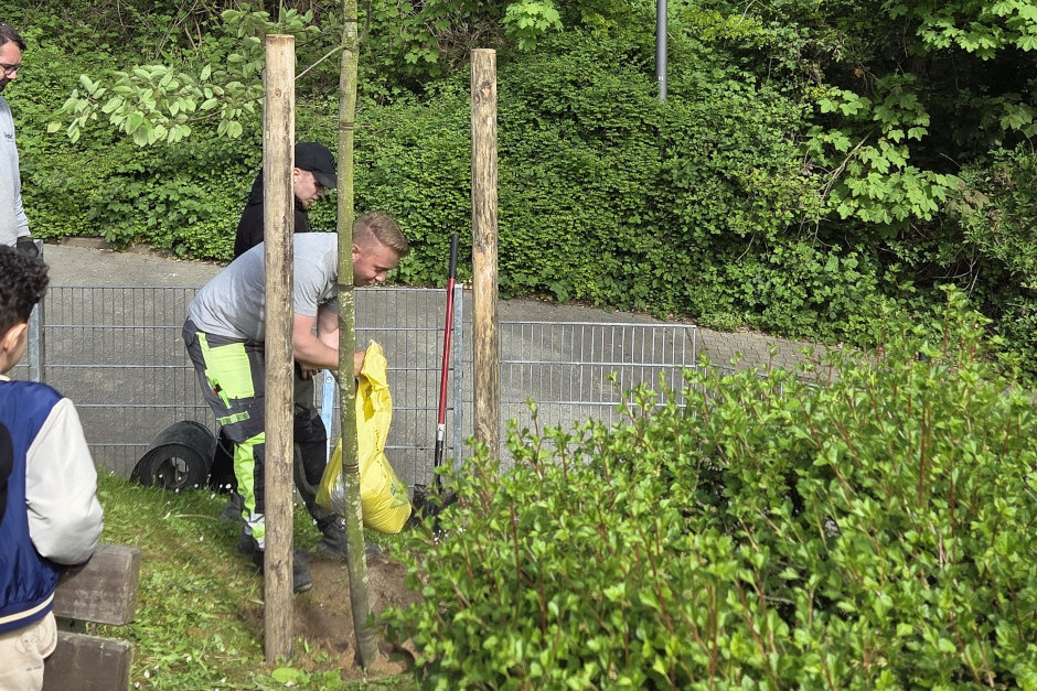 Zum Tag des Baumes 2026 ist in Wiesbaden-Dotzheim eine Kupfer-Felsenbirne in der Kindertagesstätte Friedrich-Engels-Weg gepflanzt worden. Die Aktion verband Nachhaltigkeit, Ausbildung und lokales Engagement des Unternehmens Held Garten- und Landschaftsbau für mehr Grün im Stadtteil.