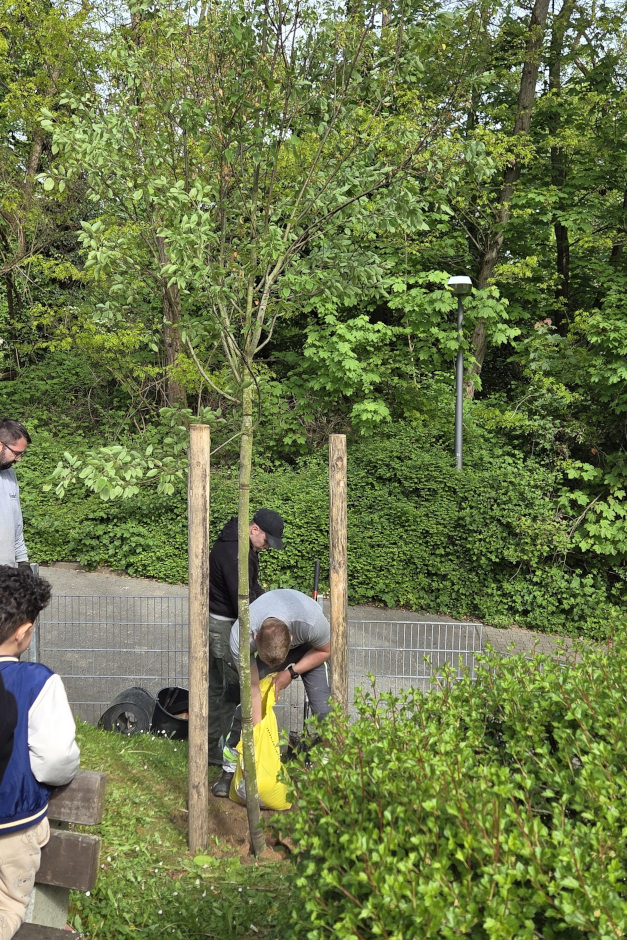 Zum Tag des Baumes 2026 ist in Wiesbaden-Dotzheim eine Kupfer-Felsenbirne in der Kindertagesstätte Friedrich-Engels-Weg gepflanzt worden. Die Aktion verband Nachhaltigkeit, Ausbildung und lokales Engagement des Unternehmens Held Garten- und Landschaftsbau für mehr Grün im Stadtteil.