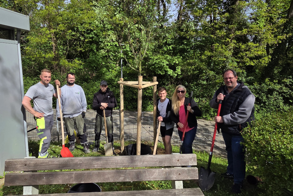 Zum Tag des Baumes 2026 ist in Wiesbaden-Dotzheim eine Kupfer-Felsenbirne in der Kindertagesstätte Friedrich-Engels-Weg gepflanzt worden. Die Aktion verband Nachhaltigkeit, Ausbildung und lokales Engagement des Unternehmens Held Garten- und Landschaftsbau für mehr Grün im Stadtteil.