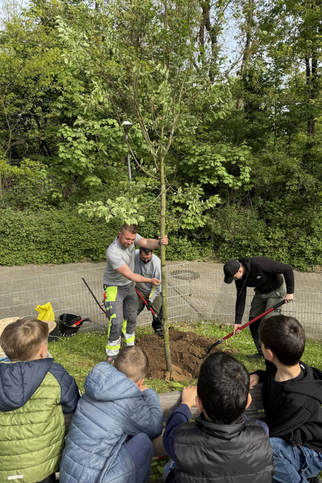 Zum Tag des Baumes 2026 ist in Wiesbaden-Dotzheim eine Kupfer-Felsenbirne in der Kindertagesstätte Friedrich-Engels-Weg gepflanzt worden. Die Aktion verband Nachhaltigkeit, Ausbildung und lokales Engagement des Unternehmens Held Garten- und Landschaftsbau für mehr Grün im Stadtteil.
