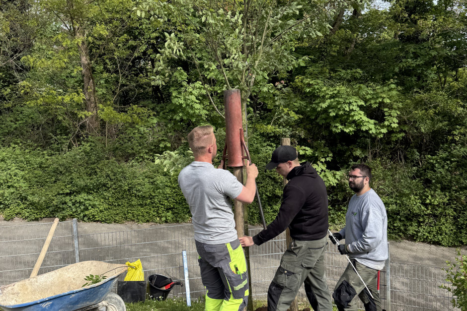 Zum Tag des Baumes 2026 ist in Wiesbaden-Dotzheim eine Kupfer-Felsenbirne in der Kindertagesstätte Friedrich-Engels-Weg gepflanzt worden. Die Aktion verband Nachhaltigkeit, Ausbildung und lokales Engagement des Unternehmens Held Garten- und Landschaftsbau für mehr Grün im Stadtteil.