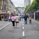 Vorheriges Bild