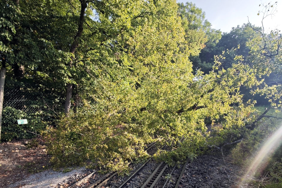 Die Nerobergbahn konnte am Samstag, 18. Juli, wegen eines Astbruchs nicht in Betrieb genommen werden. Ein Baum war in der Nacht auf die Gleisanlage gestürzt. Fahrgäste müssen sich bis auf Weiteres auf einen Ausfall einstellen.
