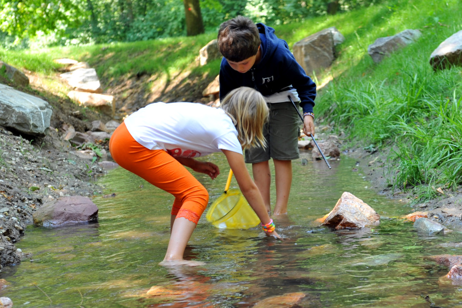 „Natur-Erleben in der Fasanerie“ Wiesbaden. Spannende Bachexkursion für Familien am 6. September.