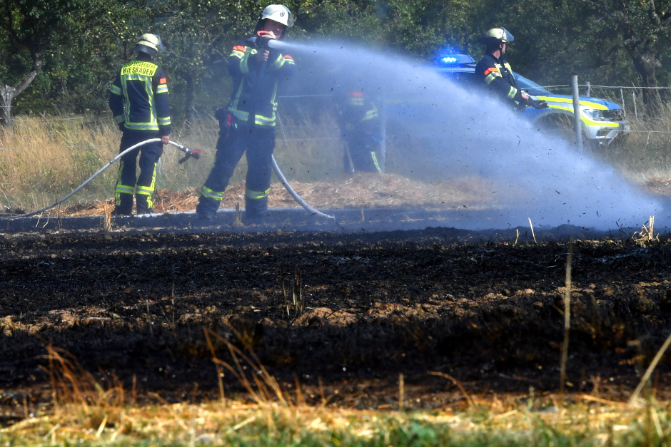 Feuerwehr-Drohne filmt Flucht: Erneute Brandstiftung am Kasteler Rheinufer! Die Feuerwehr löschte die Flammen.