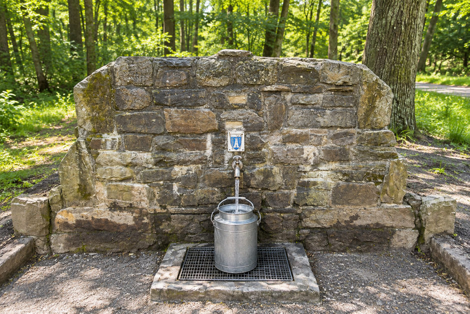 Laufbrunnen im Goldsteintal wird neu gestaltet: Wiesbaden schützt Quelle und Wald – Wasserentnahme mit Kanistern künftig verboten