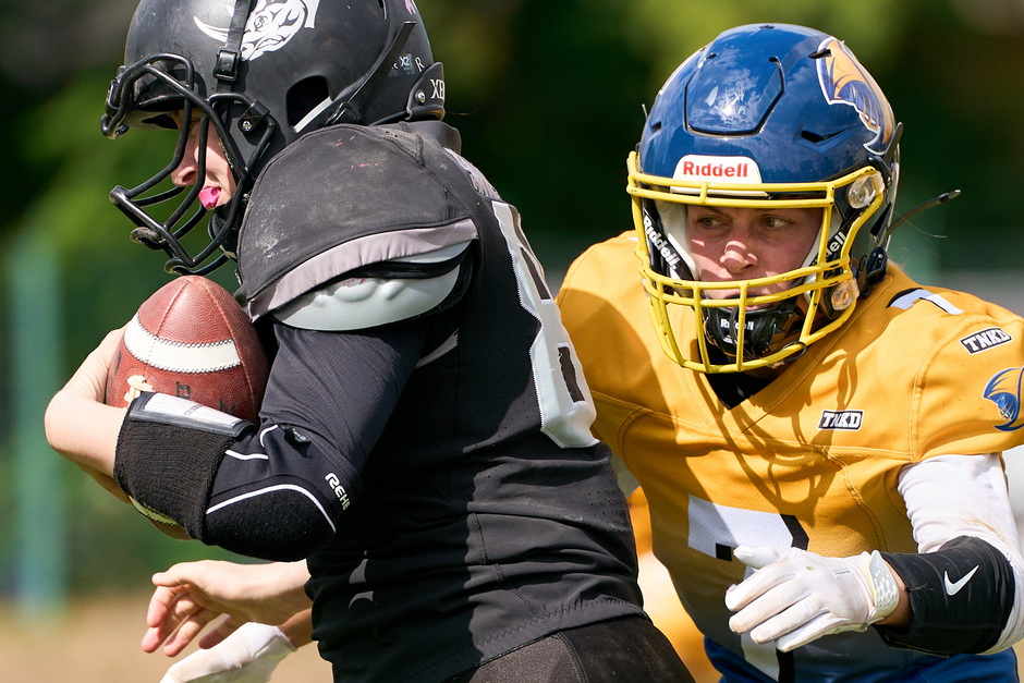 Wiesbaden Phantoms Ladies verpassen Titel