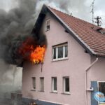 Nächstes Bild