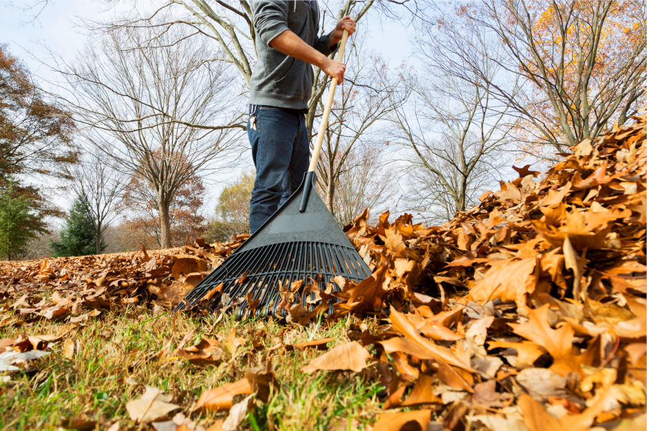 Wenn im Herbst die Blätter fallen, greifen viele Menschen zum Laubbläser. Doch um Laub im Hausgarten zu beseitigen, ist der gute alte Rechen oft die bessere Wahl – für die Nachbarschaft ebenso wie für die Natur. Denn Laubbläser sind laut und können insbesondere in Wohngebieten für erhebliche Lärmbelästigung sorgen. Mit einem Rechen lässt sich das Laub dagegen ganz ohne störende Motorengeräusche entfernen.
