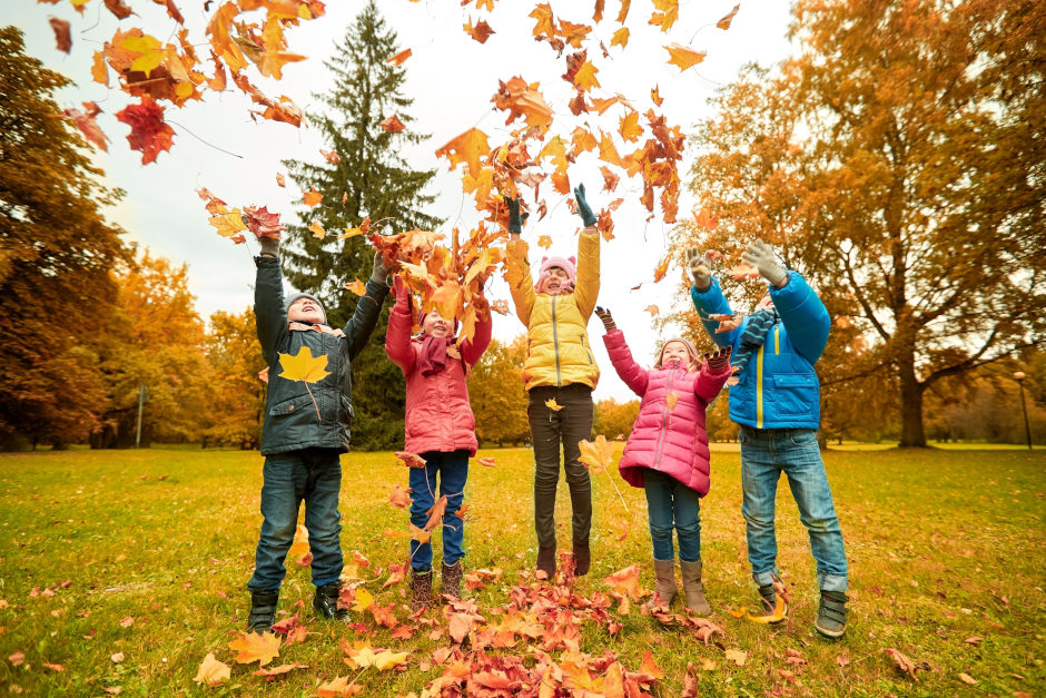 Veranstaltungsangebot für Kinder. Herbstleben in der Fasanerie Wiesbaden Entdecken.